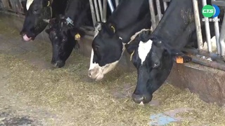 鮮乳喊漲! "連帶影響"飲料店恐跟漲