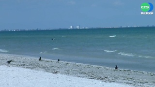 "TikTok挑戰"釀禍! 佛州沙灘現1.5M深大洞