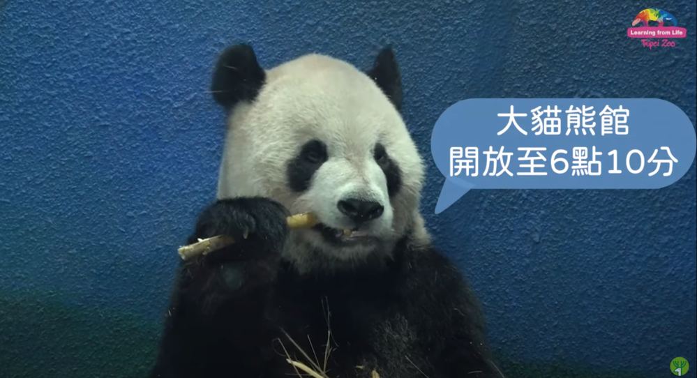 圖片截取自  臺北市立動物園 Youtube頻道