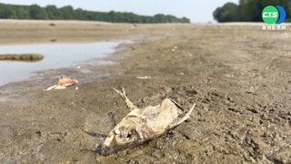 遇70年最嚴重乾旱 義北宣布"緊急狀態"