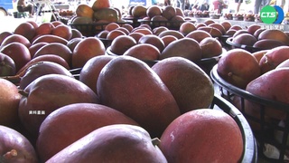 台灣芒果再"被確診" 港府稱驗出新冠病毒