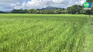 屏"龍水里"全縣最富有! 年所得平均破百萬