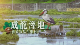 藝術妝點生態村｜成龍溼地｜華視新聞雜誌
