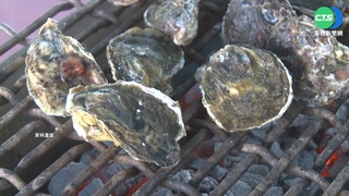 澎湖現撈牡蠣1台斤10元 饕客瘋搶海味