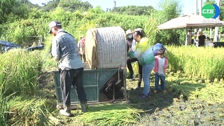 體驗"阿公級"腳踩脫穀機 遊客直呼特別!