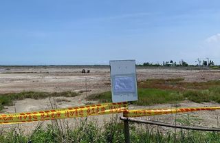 為攝影擅闖封鎖線 打擾鹽灘地生態繁殖