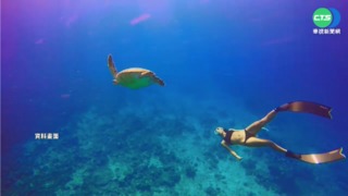 小琉球沙灘遊憩設施 恐妨礙綠蠵龜產卵