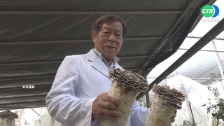 81歲"牛樟芝之父"賴敏男  擁4專利業界權威