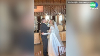 飼主新婚...毛小孩暴衝! 婚禮現場險毀