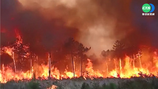 歐洲高溫燒不停 法西葡山林野火肆虐