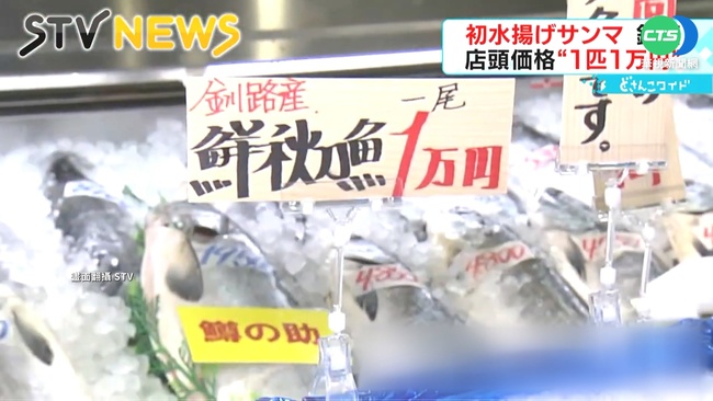 競標價創新高! 日首批秋刀魚"1條1萬日圓" | 華視新聞