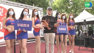 超划算海鮮餐搶客 帝王蟹1元競標