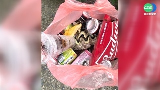 小琉球生態殺手! 遊客亂挖"硨磲貝"再丟棄