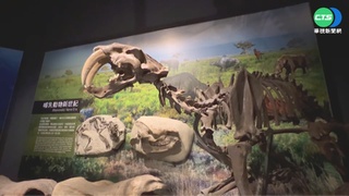 奇美恐龍展夯! 小編搶搭"哥吉拉"哏神宣傳