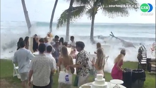 夏威夷海邊突掀大浪 毀新人浪漫婚禮