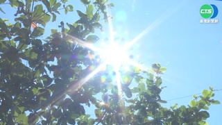 全台烤番薯! 專家示警:類熱浪恐來襲