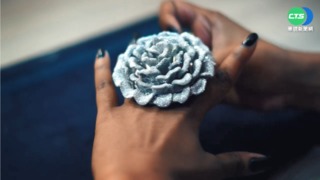 破金氏世界紀錄! 戒指鑲嵌2萬4679顆鑽石