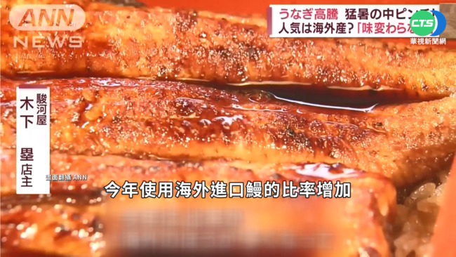 日本鰻魚銳減! 餐廳相中台灣.中國進口鰻 | 華視新聞