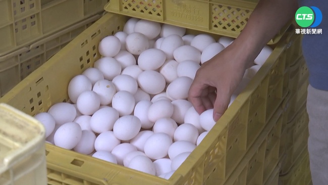 雞蛋漲2元遭批「影響物價」 農委會：有助後續產銷穩定 | 華視新聞