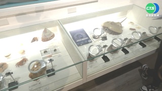 2億年前恐龍胚胎亮相 興大展出珍貴標本