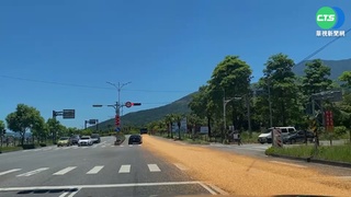 貨車邊開邊掉玉米... 台九線鋪"黃地毯"