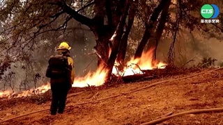 避免殃及優勝美地 加州消防隊控制野火