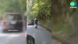 驚! "殭屍"出沒清境 路過駕駛"毛毛的"