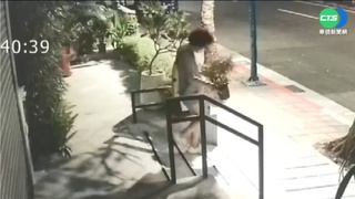 婦連偷2盆栽全錄 霸氣店家公告50盆免費拿