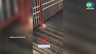 新店碧潭橋面清晨竄火! 疑亂丟菸蒂肇禍