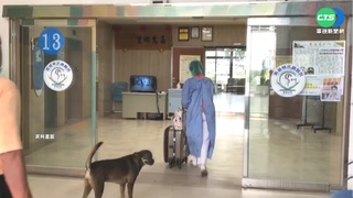 DNR簽署釀台疫情死亡率高? 醫界看法兩極