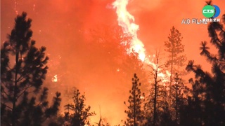 加州爆今年最大野火 逾2萬公頃林地燒毀