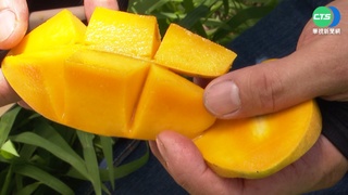 水蜜桃芒果一顆400 民眾控攤商"騙觀光客"