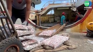 共軍演習"就在門口" 漁民照出海.賞鯨班次正常