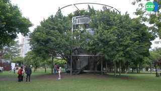 高雄駁二新打卡夯點 "大樹宇宙"環繞老榕樹