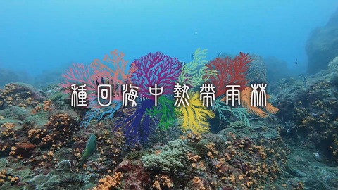 種回海中熱帶雨林｜九孔池裡的珊瑚花園｜華視新聞雜誌