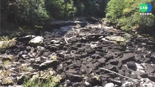 歐洲野火燒不停! 又逢500年最嚴重乾旱