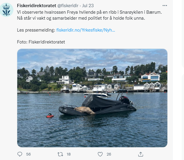 芙蕾雅躺在船上 / 圖片翻攝自 Fiskeridirektoratet twitter