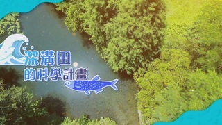 釣魚趣 埤塘溪流魚口普查｜深溝田的科學計畫｜華視新聞雜誌