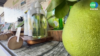 力抗中國禁銷令 花農改場研發文旦加工設備