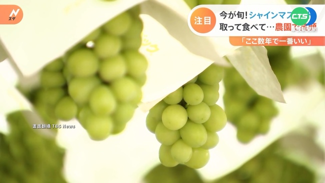 日本麝香葡萄做成大福 甜點控趨之若鶩 | 華視新聞