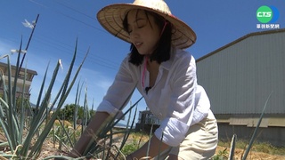 周末遊宜蘭! 體驗採蔥農村樂.呷創意冰品