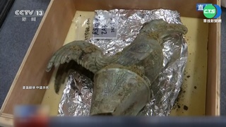 中國央視記者直播"掉坑" 疑跌入三星堆遺址