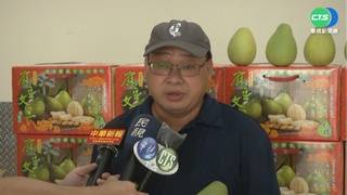 15萬台斤文旦遭上海撤單 業者打對折促銷