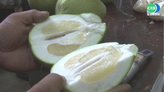 中秋吃柚注意! 服"抗凝血藥"患者應避吃