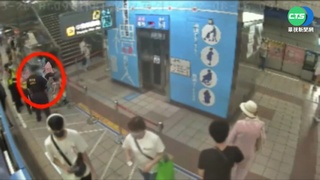 嚇!北捷有"松鼠逛大街" 女乘客遭咬傷膝蓋