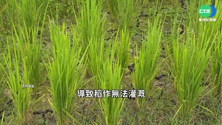 今年無颱風侵台... 鄭明典:中南部10月恐缺水