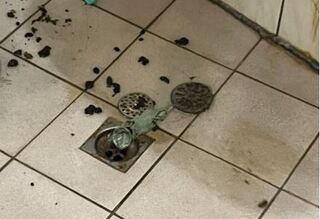 租房遇摳門房東！比價比到「噴屎」嘆：床邊5D踩屎感