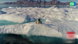 "零排放"也沒用 格陵蘭融冰將使海面升27cm