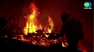 "地球之肺"亞馬遜雨林 8月火警逾4萬次