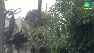 強風吹倒路樹害設備短路 屏5千多戶停電
